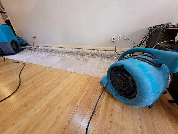 Professional Emergency Water Damage technician working in Amboy, CA